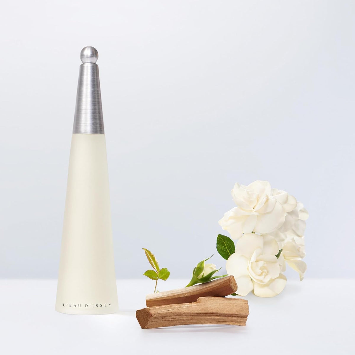 Issey Miyake L Eau D Issey 100 ml Edt Spray - Mujer