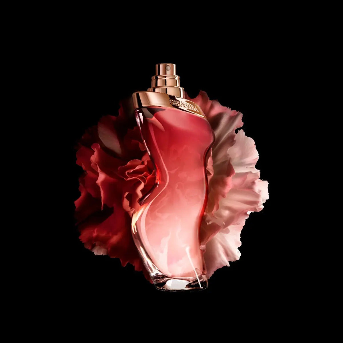 Set Dance Midnight Muse Dama Shakira 2 pz - Mujer