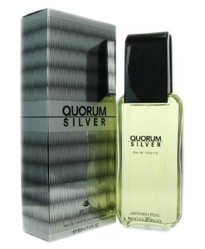 Quorum Silver Caballero Antonio Puig 100 ml Edt Spray - PriceOnLine