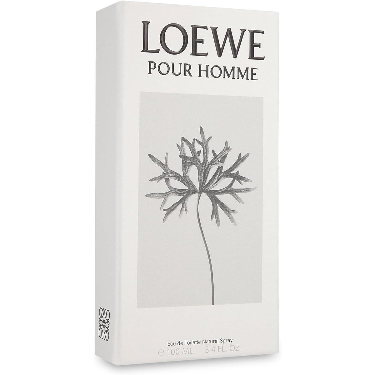 Loewe Loewe Pour Homme 100 Ml Edt Spray - Perfume para Hombre