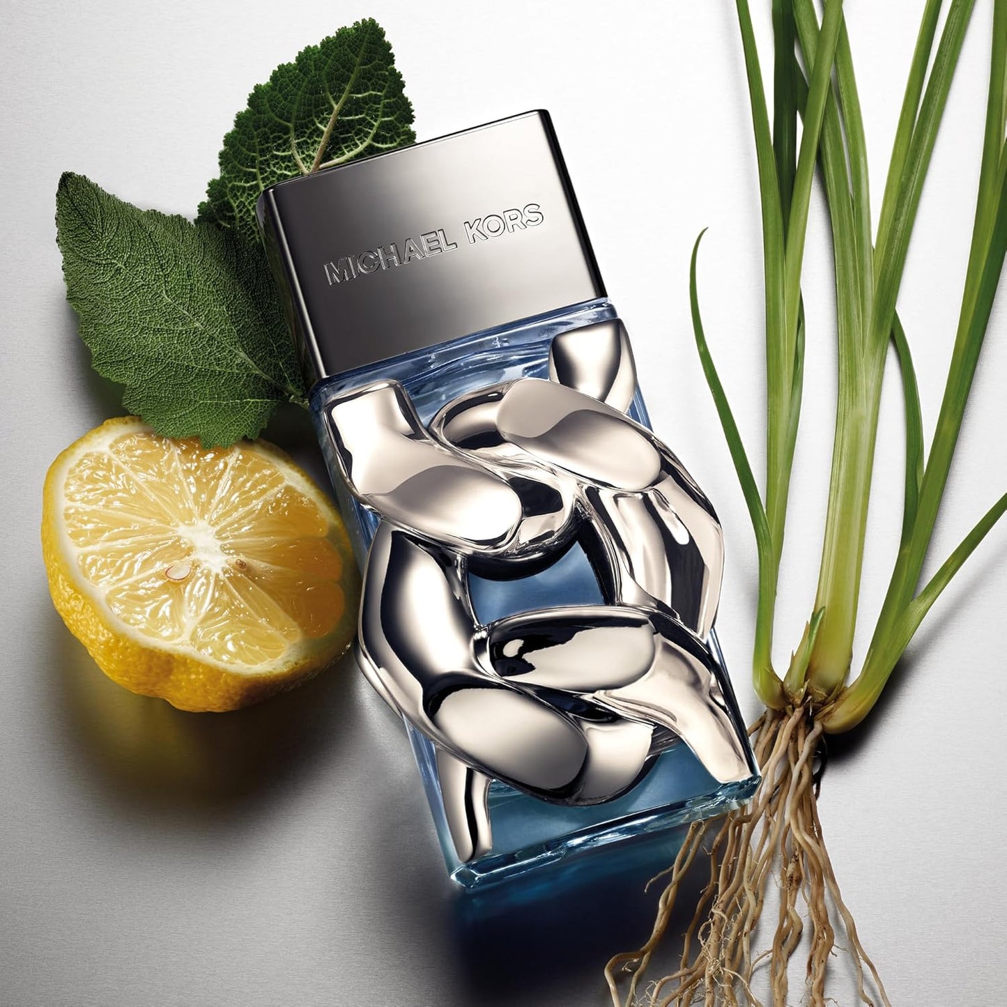 Michael Kors Pour Homme 100Ml Edp Spray - Hombre