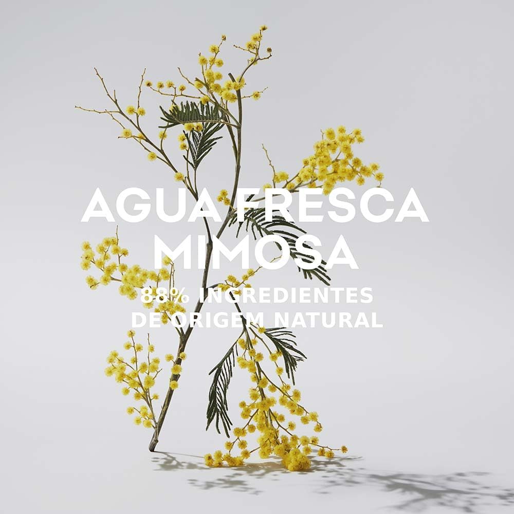Agua Fresca De Mimosa Coriandro Adolfo Dominguez 120 ml Edt Spray - Mujer