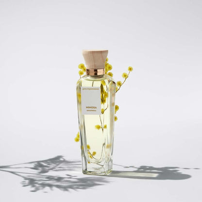 Agua Fresca De Mimosa Coriandro Adolfo Dominguez 120 ml Edt Spray - Mujer