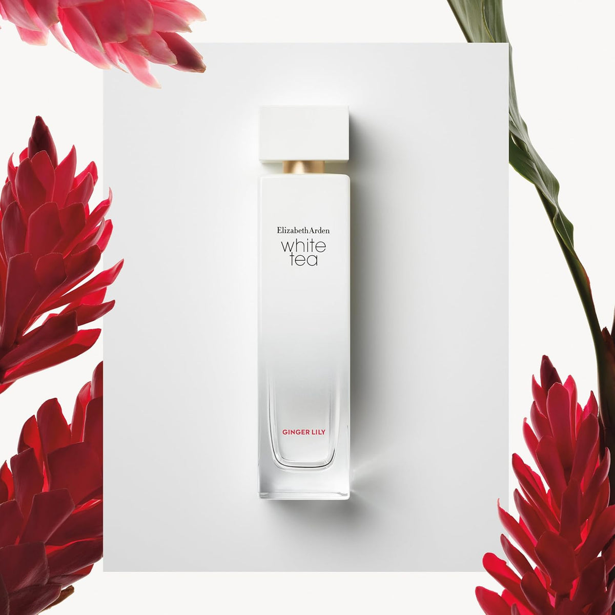 ELIZABETH ARDEN Elizabeth Arden White Tea Ginger Lily 100Ml Edt Spray - Mujer