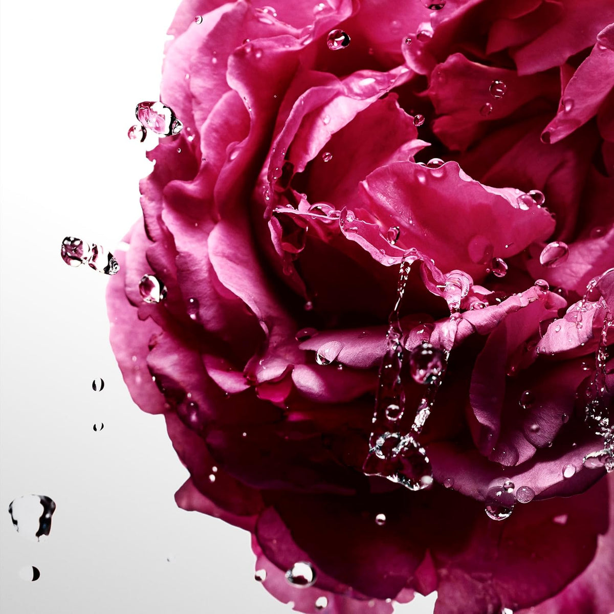 Cool Water Sea Rose Davidoff 100 ml Edt Spray - Mujer