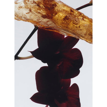 Jo Malone Dark Amber & Ginger Lily Cologne Intense 100Ml Edc Spray - Unsex