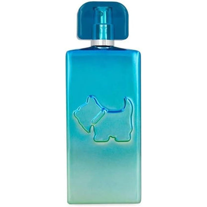 Ferrioni Electric Vibes Men 100 Ml Edt Spray - Hombre