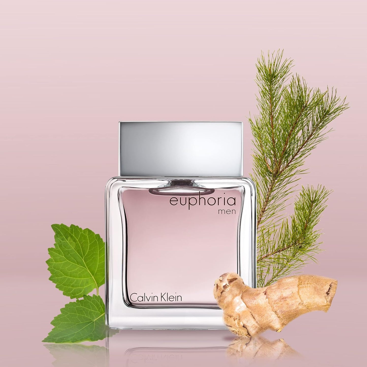 Euphoria Caballero Calvin Klein 100 ml Edt Spray - Hombre