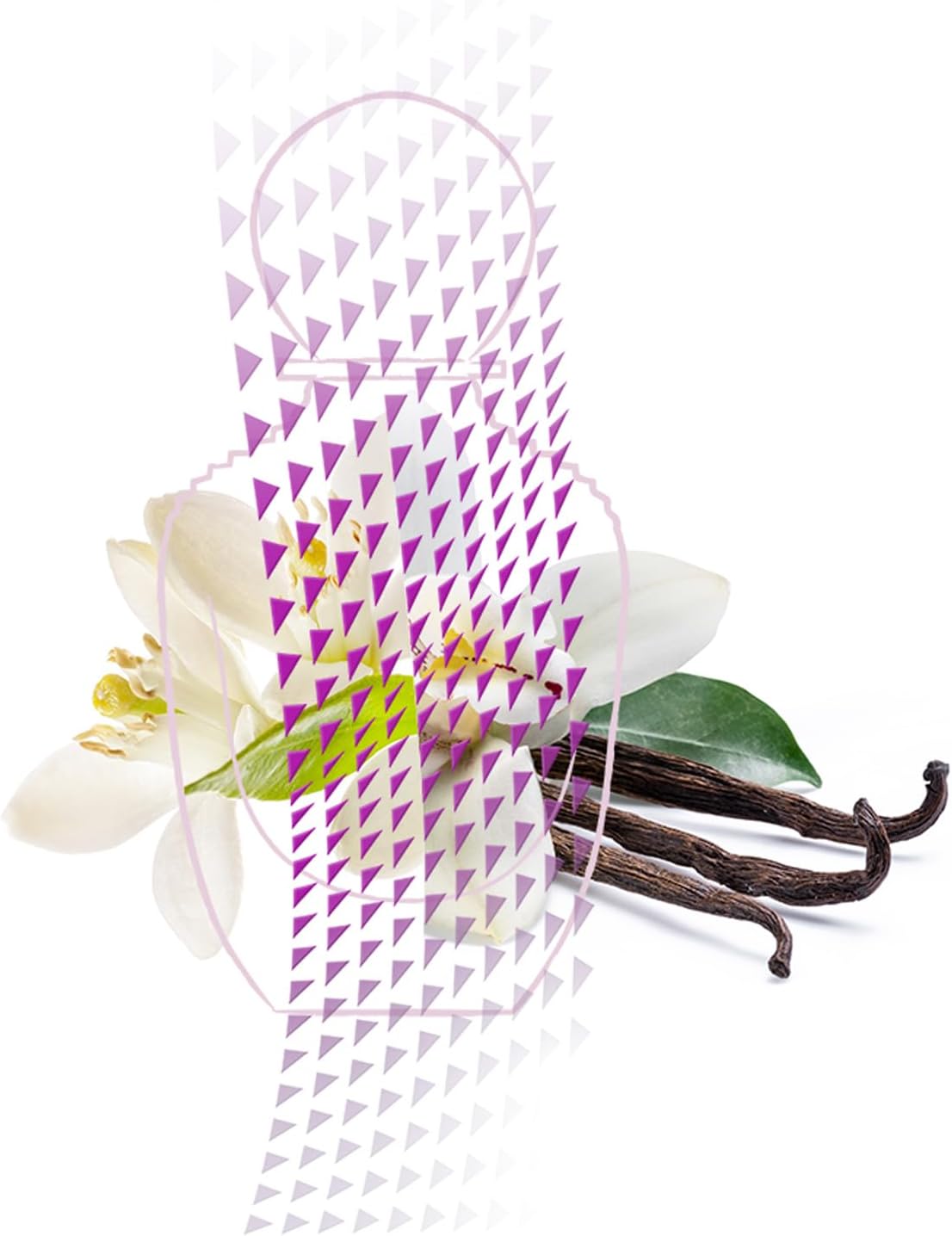 Amo Ferragamo Flowerful Salvatore Ferragamo 100 ml Edt Spray - Mujer