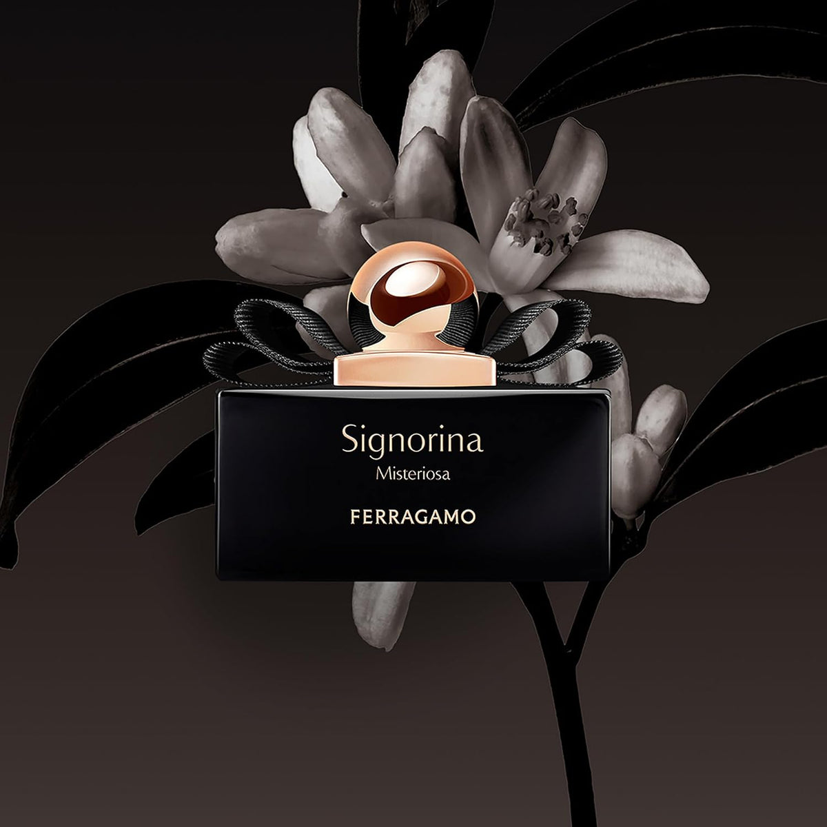 Set Ferragamo Signorina Misteriosa 3Pzs 100Ml Edp Spray/ Body Lotion 50Ml/ 15Ml Edp Spray - Mujer