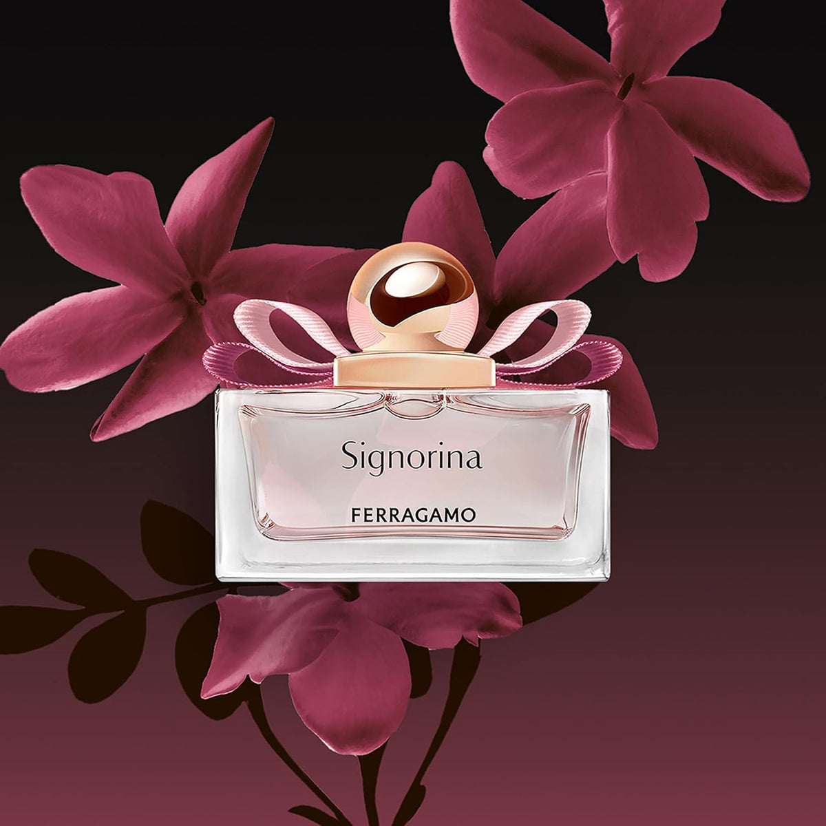 Set Ferragamo Signorina 3Pzs 100Ml Edp Spray/ Body Lotion 50Ml/ 15Ml Edp Spray - Mujer