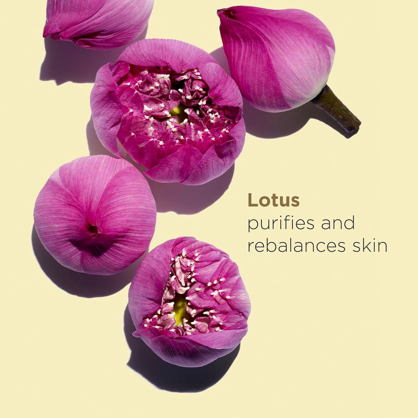 Tratamiento Facial Lotus Treatment Oil - 30Ml - Mujer