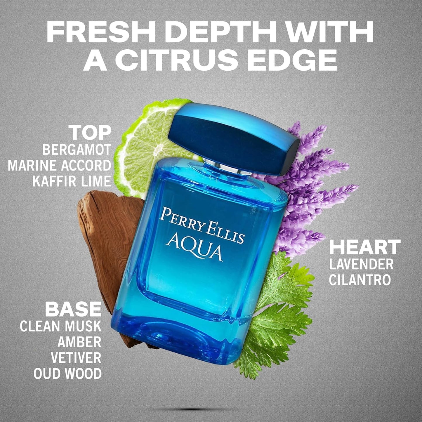 Perry Ellis Aqua Caballero Perry Ellis 100 ml Edt Spray - Hombre