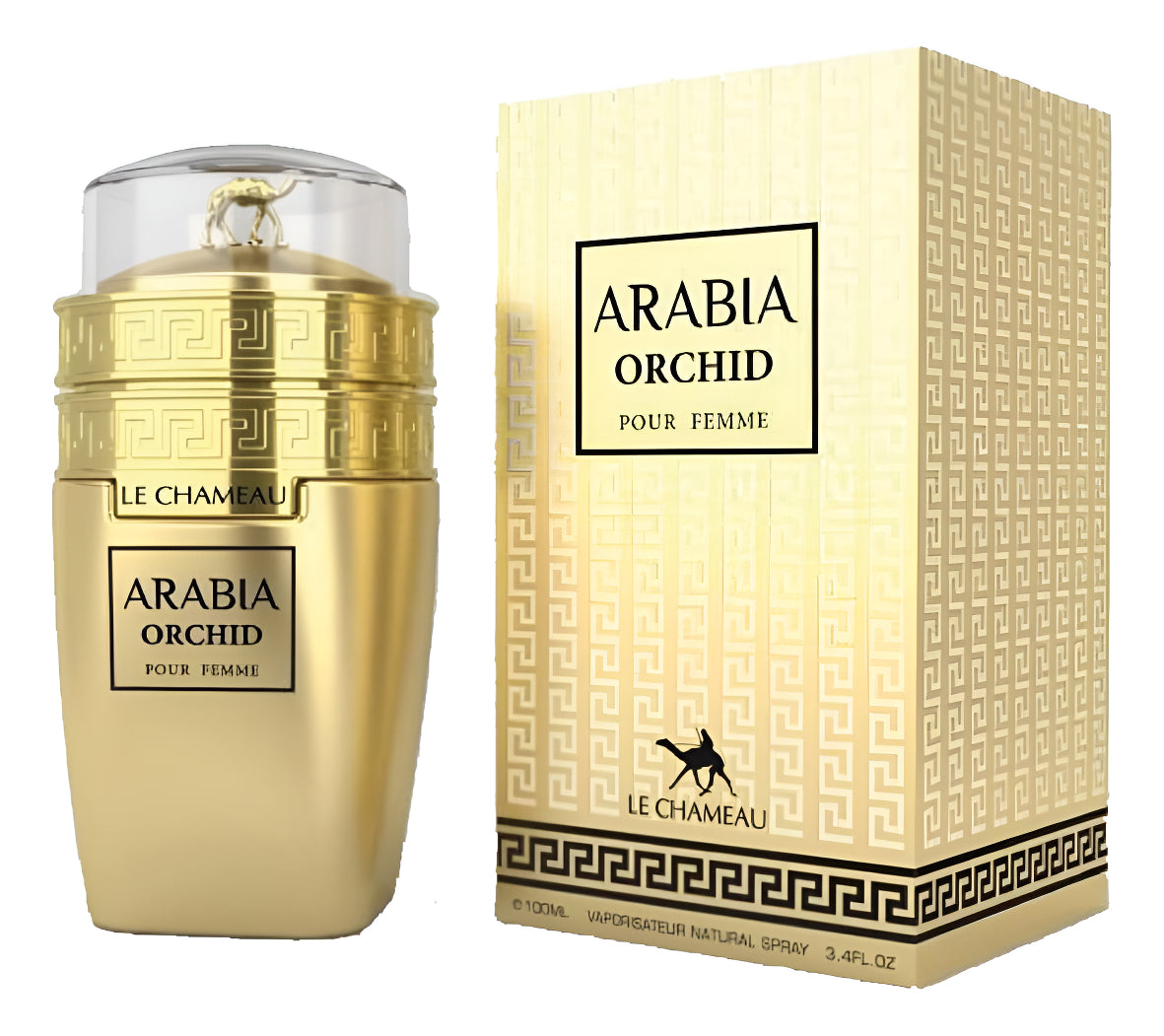 Arabia Orchid Dama Le Chameau 100 ml Edp Spray - Mujer