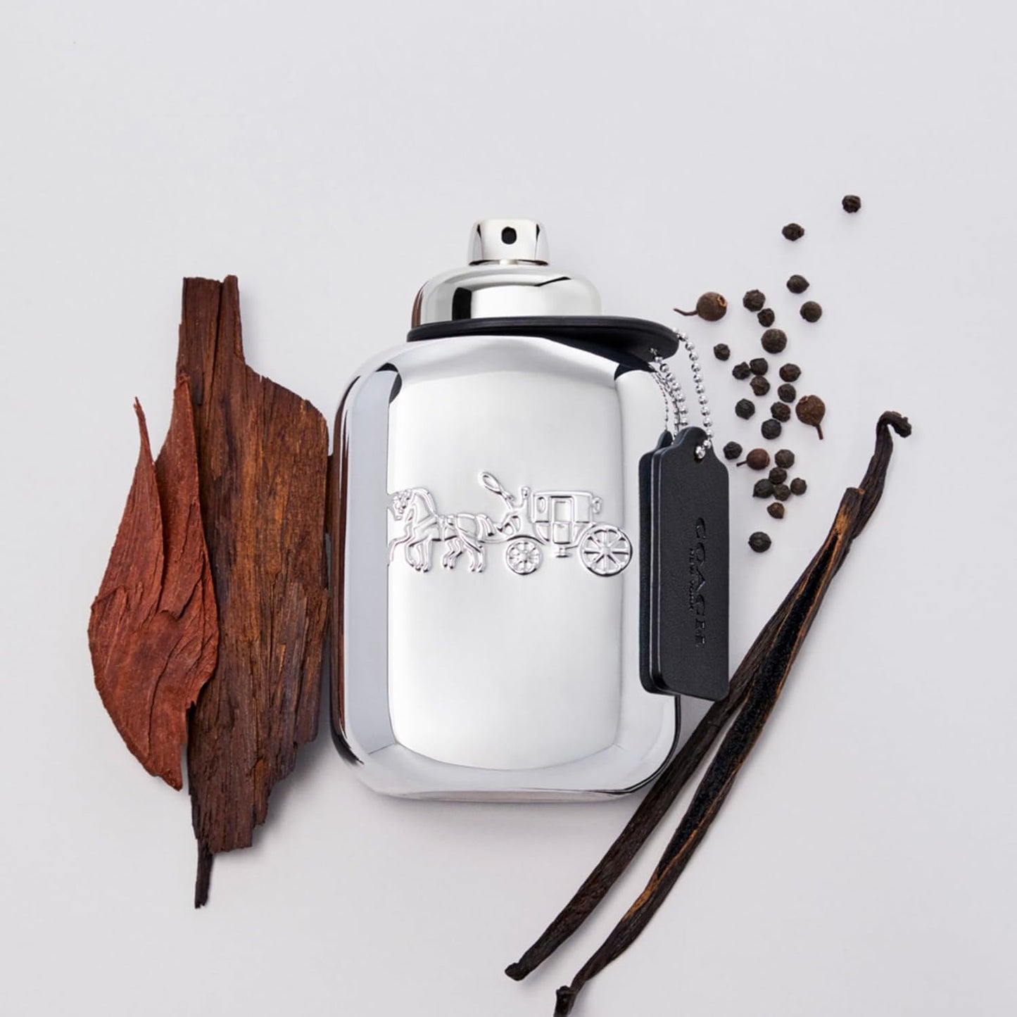 Coach Platinum Coach 100 Edp Spray - Hombre