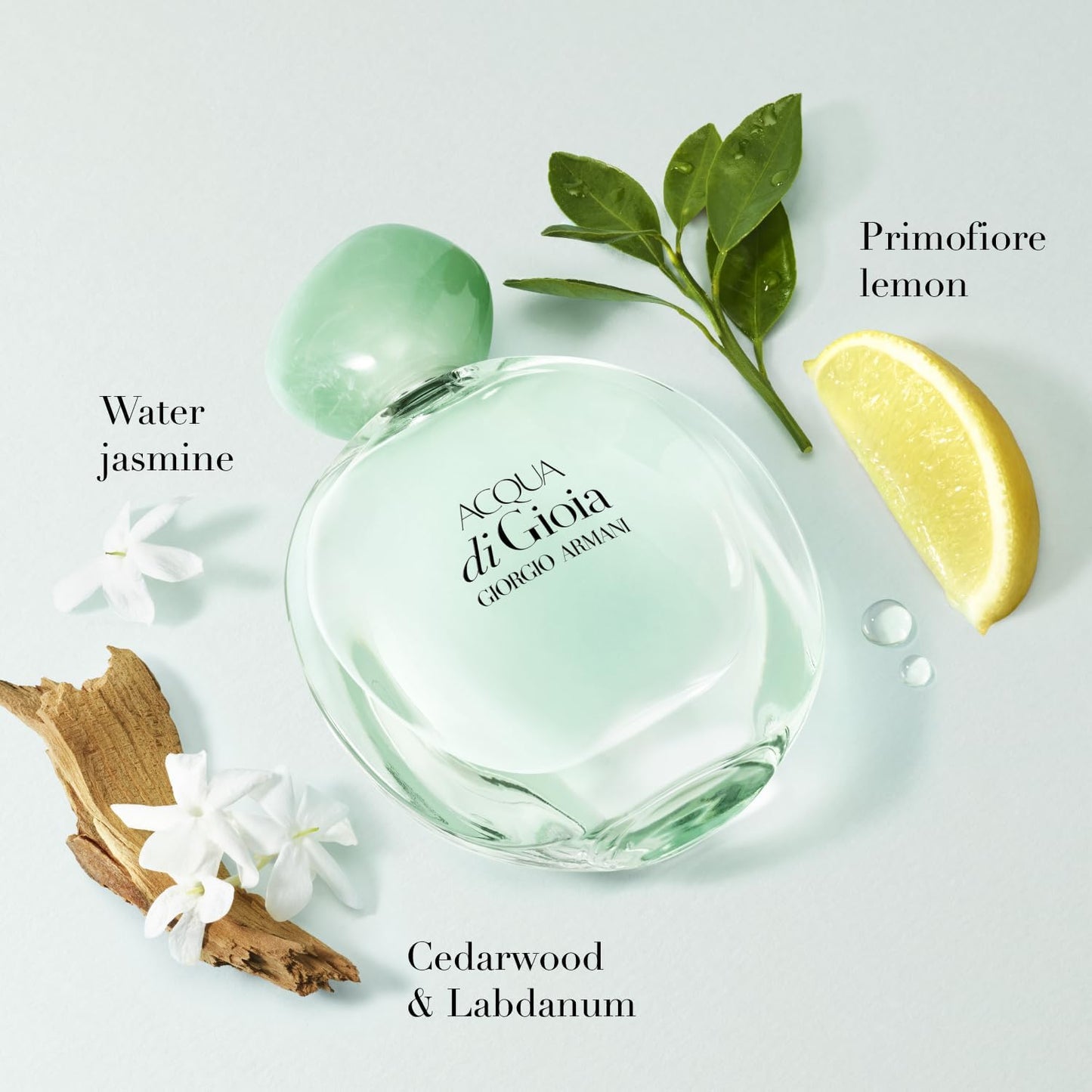 Acqua Di Gioia Dama Giorgio Armani 100 ml Edp Spray - Mujer