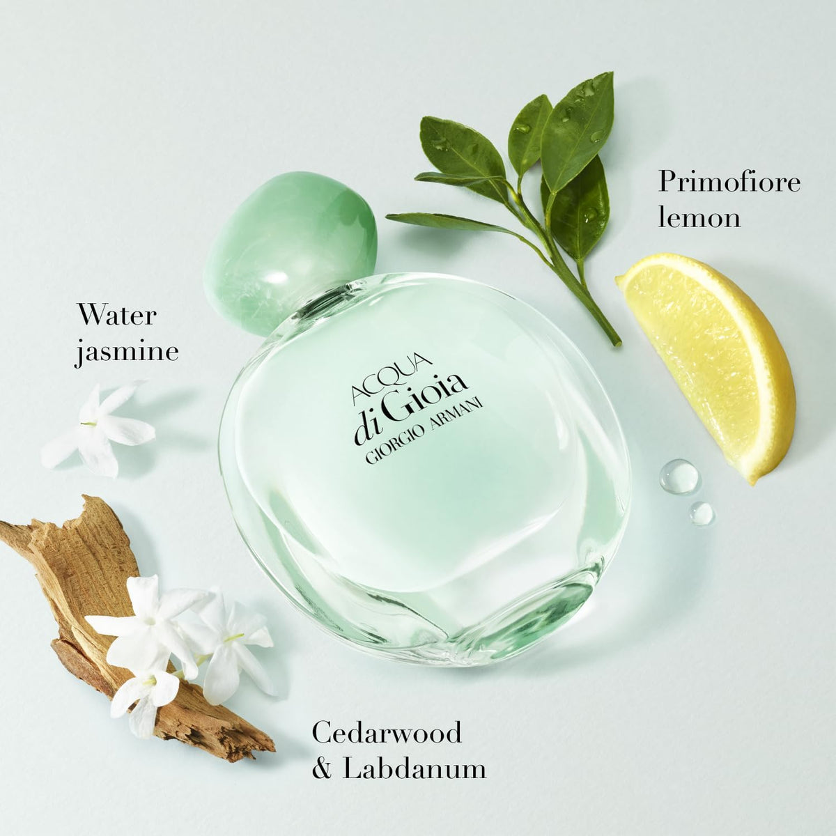 Giorgio Armani Acqua Di Gioia Dama Giorgio Armani 50 ml Edp Spray - Mujer
