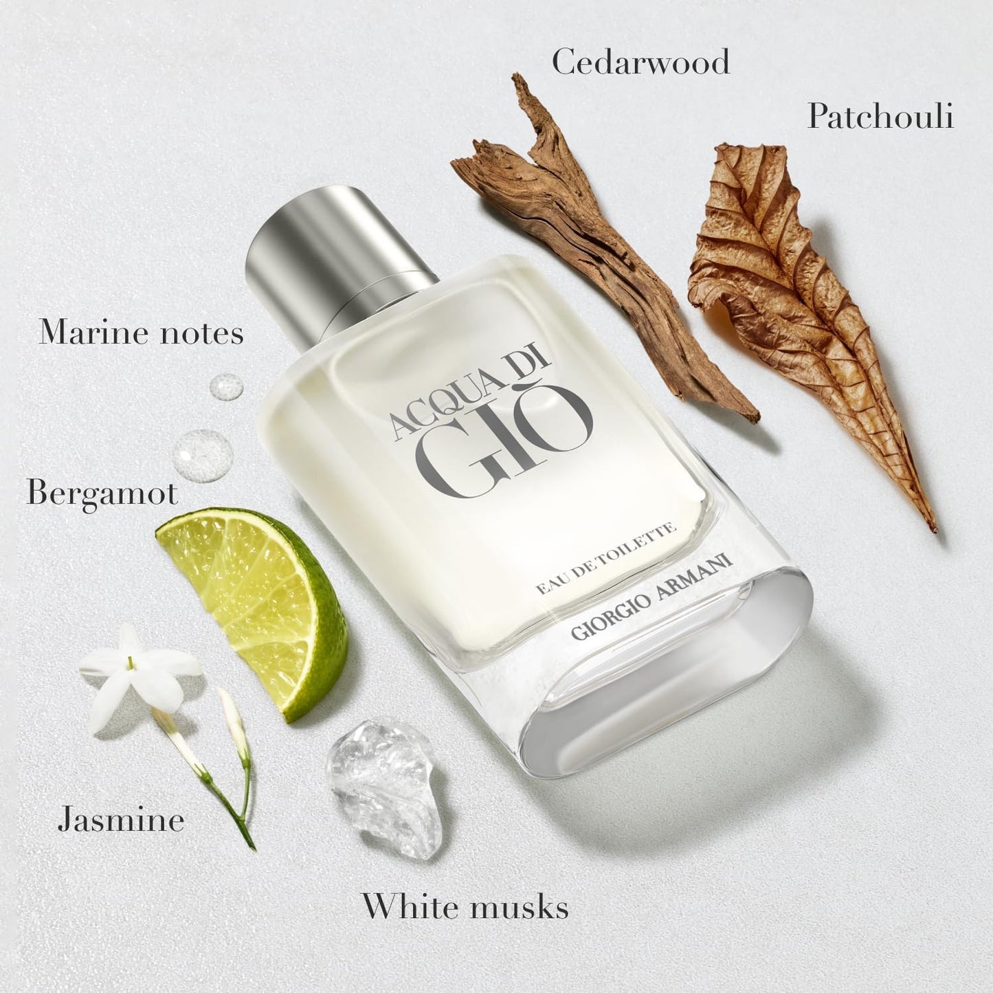 Acqua Di Gio Giorgio Armani 200 ml Edt Spray Para Hombre