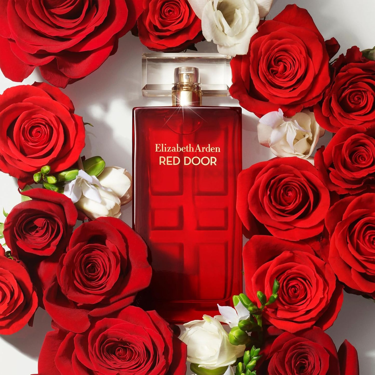 Elizabeth Arden Red Door 100Ml Edt Spray - Mujer
