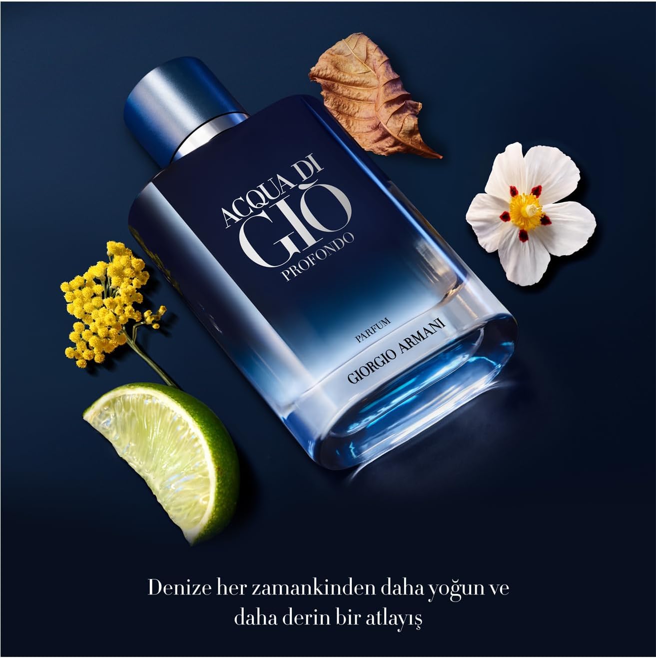 Acqua Di Gio Profondo Giorgio Armani 100 ml Parfum Spray - Hombre