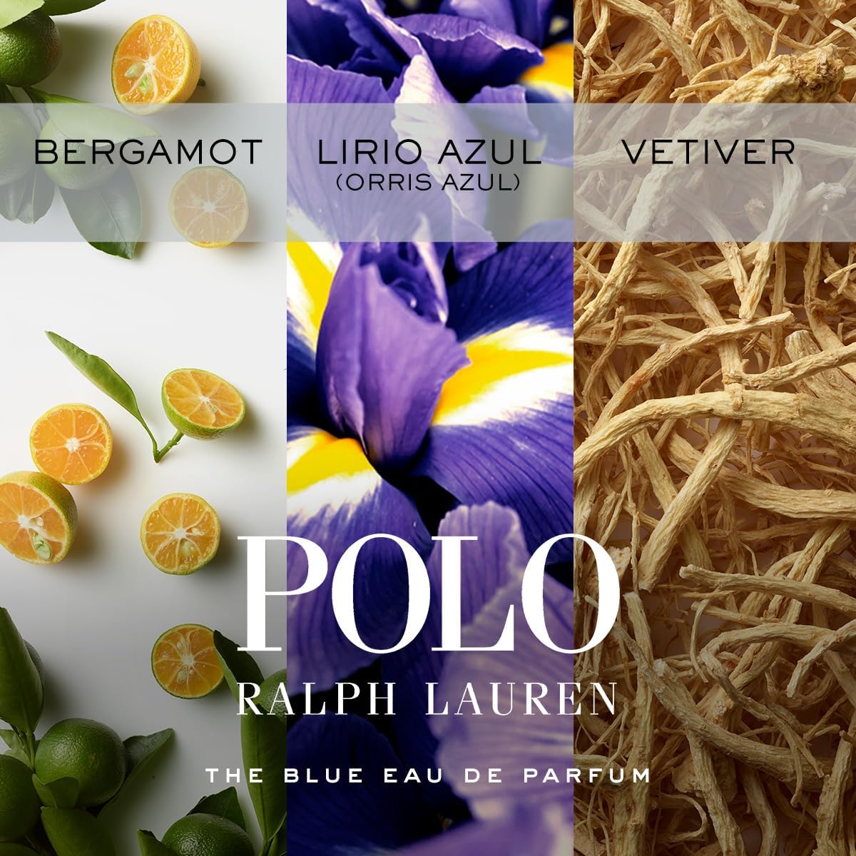 Polo Blue Caballero Ralph Lauren 125 ml Edp Spray - Hombre