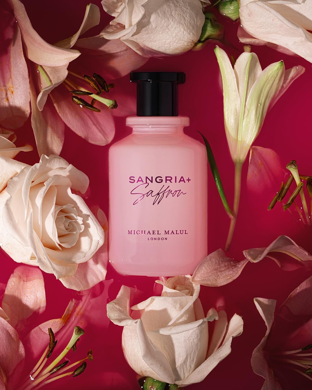 Michael Malul Michael Malul Sangria+Saffron 100Ml Edp Spray - Unisex