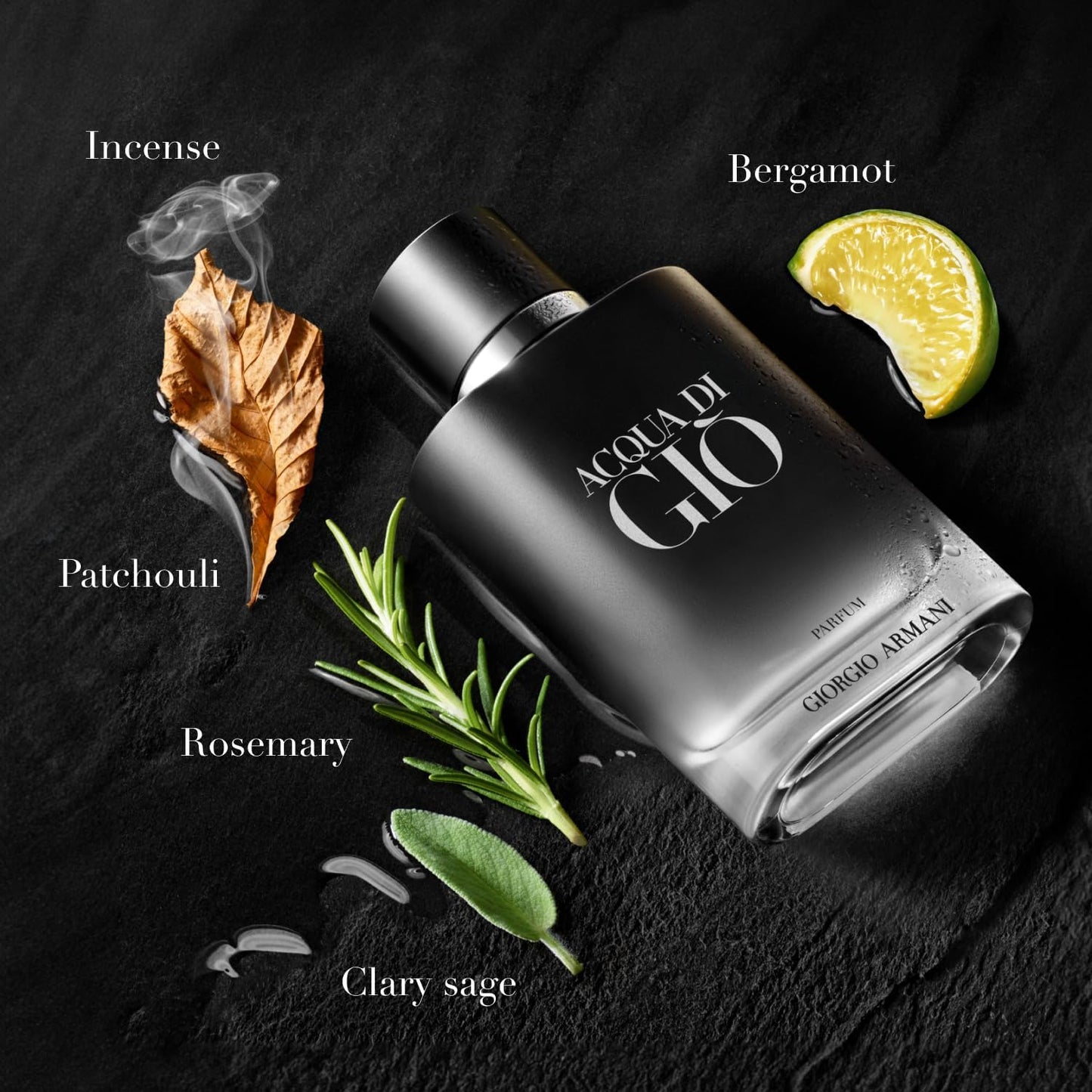 Acqua Di Gio Giorgio Armani 100 ml Parfum Spray - Hombre