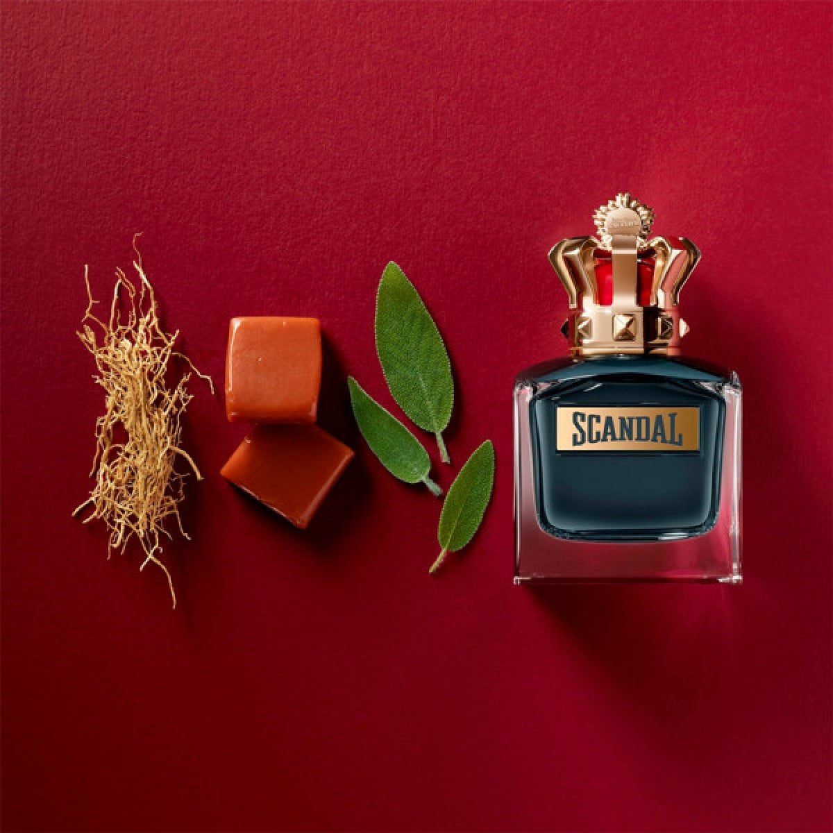 Scandal Caballero Jean Paul Gaultier 100 ml Edt Spray - PriceOnLine